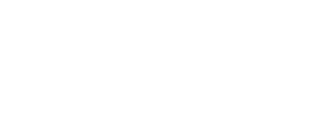 Logo medTecSystems white